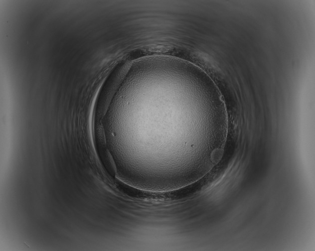 X0000086880745200704161220