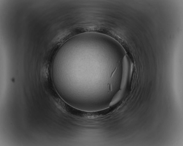 X0000086880746200704161220