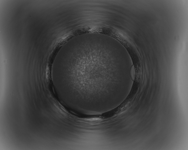 X0000086880748200704161220