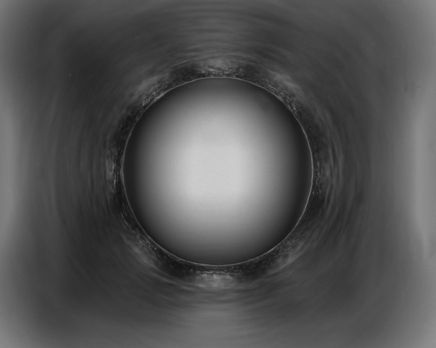 X0000086880749200704161220