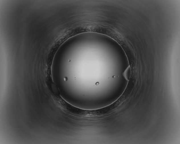 X0000086880750200704161221