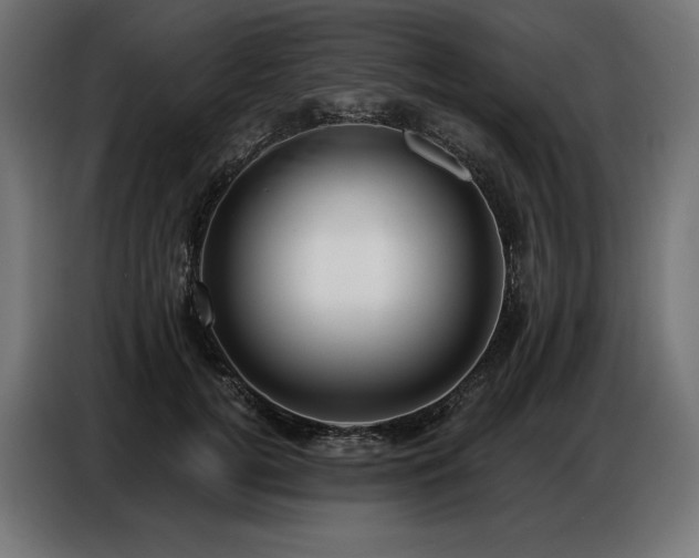 X0000086880752200704161221