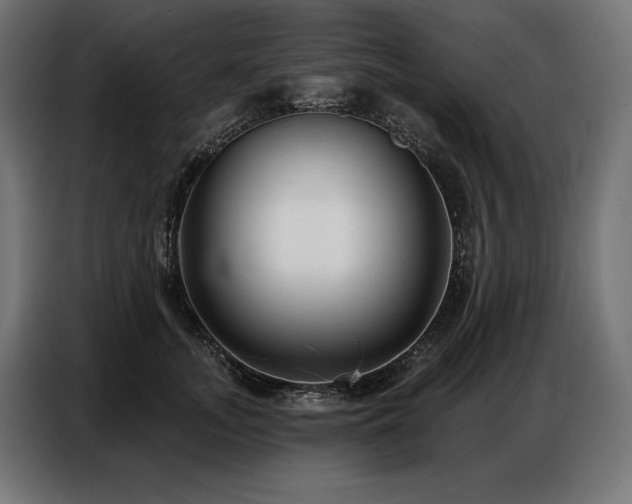 X0000086880755200704161221