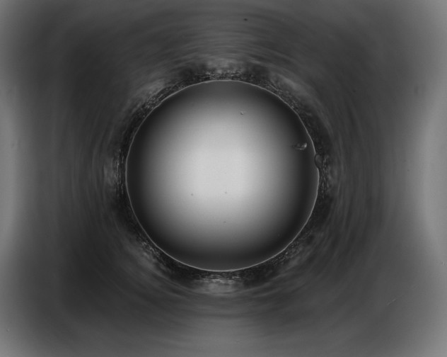 X0000086880756200704161221