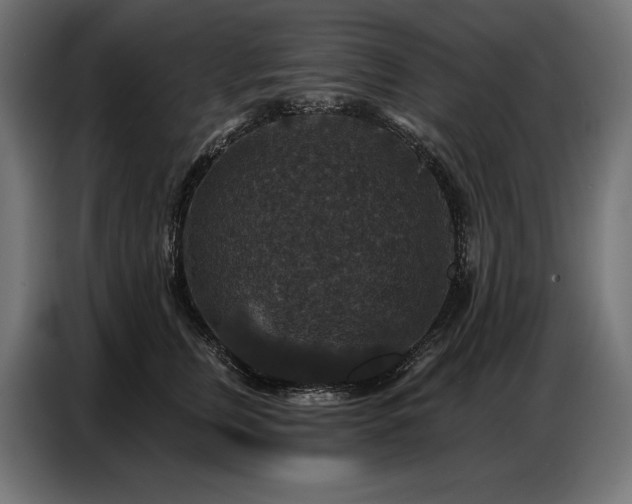 X0000086880759200704161221