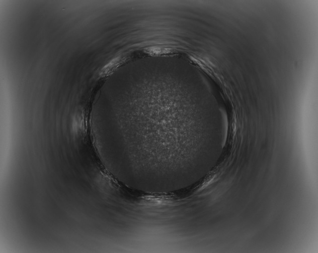 X0000086880763200704161221