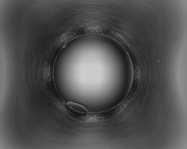 X0000086880764200704161221