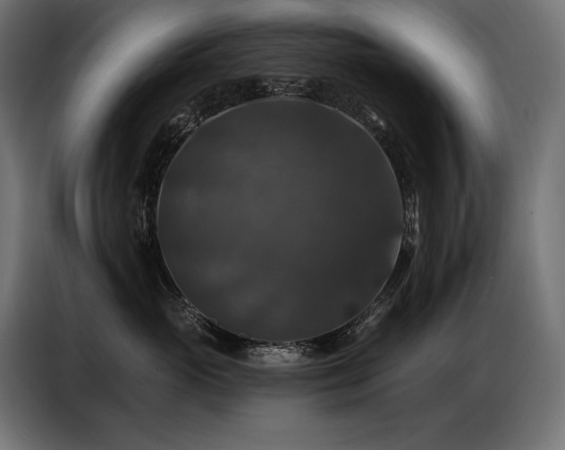 X0000086880765200704161221