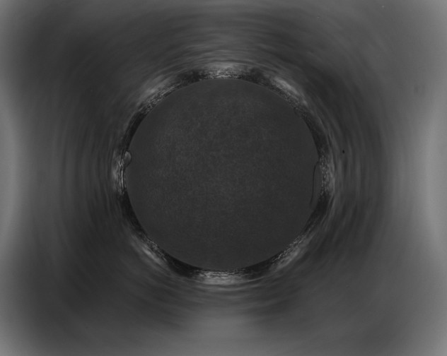 X0000086880766200704161221