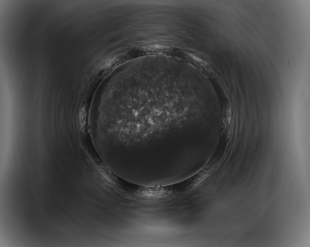 X0000086880767200704161221