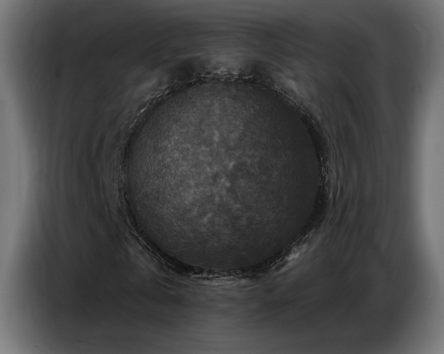 X0000086880769200704161220