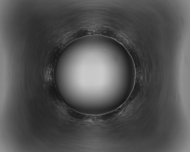 X0000086880770200704161220