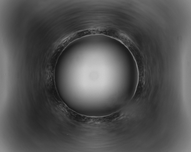 X0000086880773200704161220