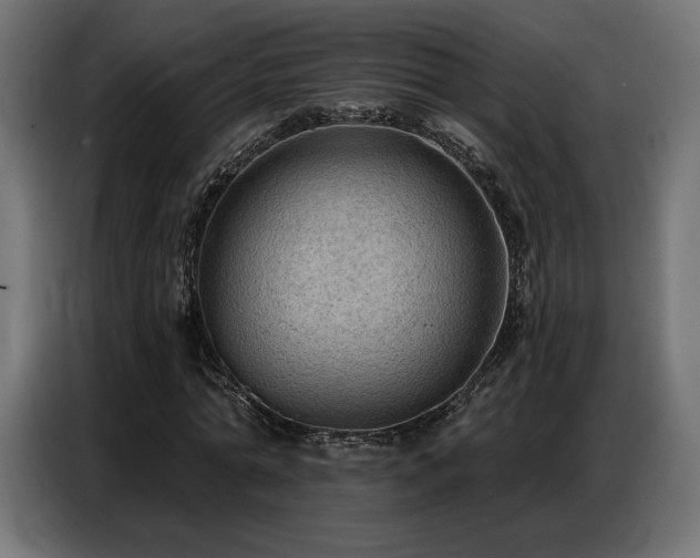 X0000086880774200704161220