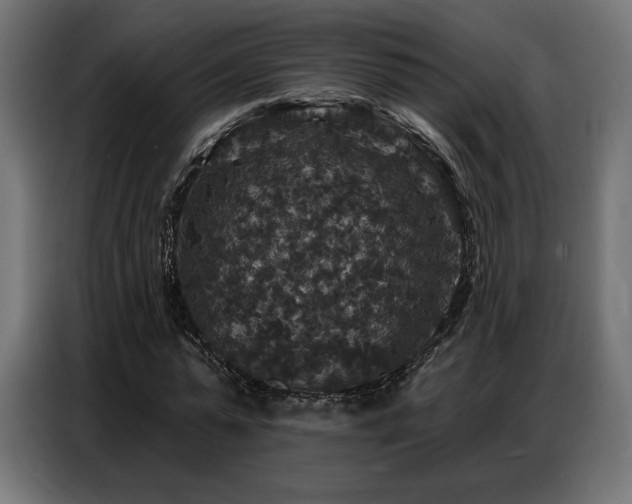 X0000086880775200704161220