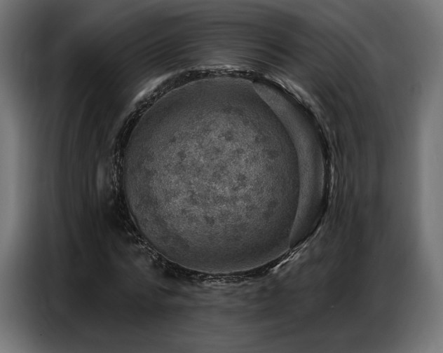 X0000086880776200704161220