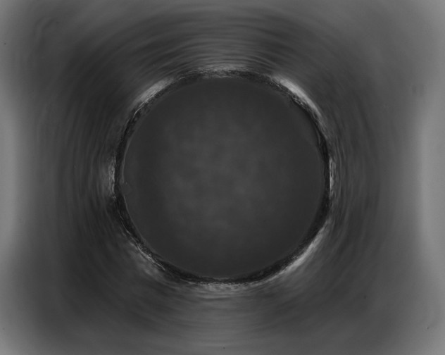 X0000086880777200704161220