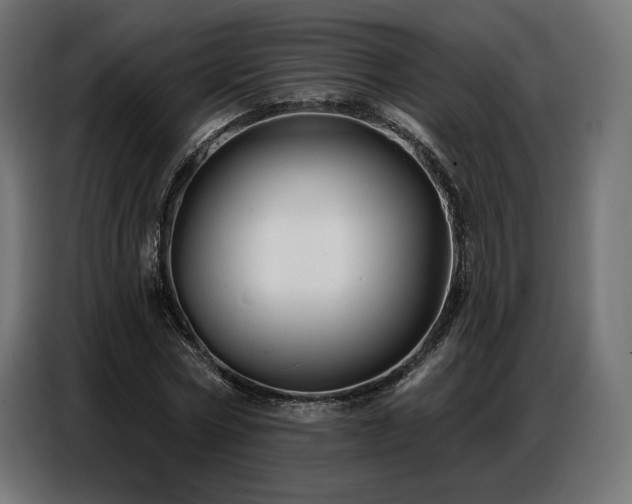 X0000086880778200704161220