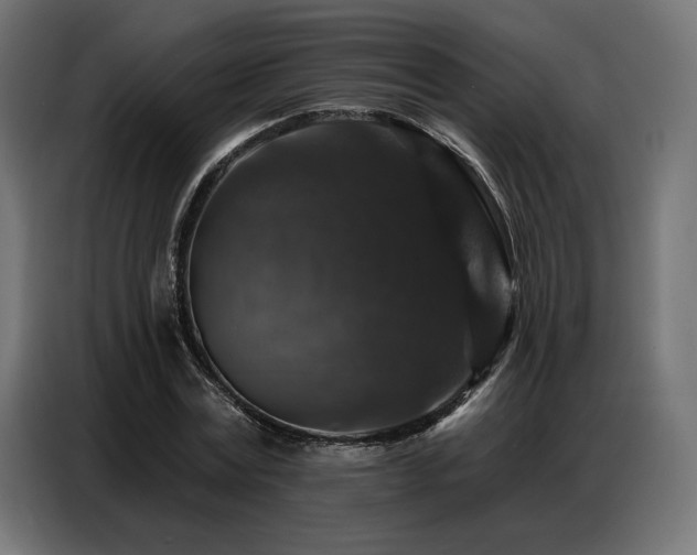 X0000086880779200704161220