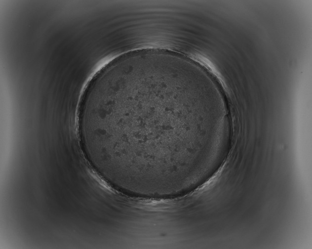 X0000086880780200704161220