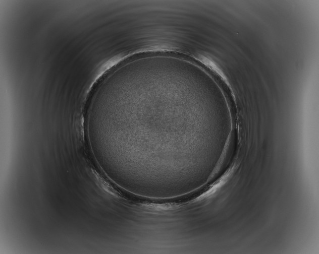 X0000086880781200704161220