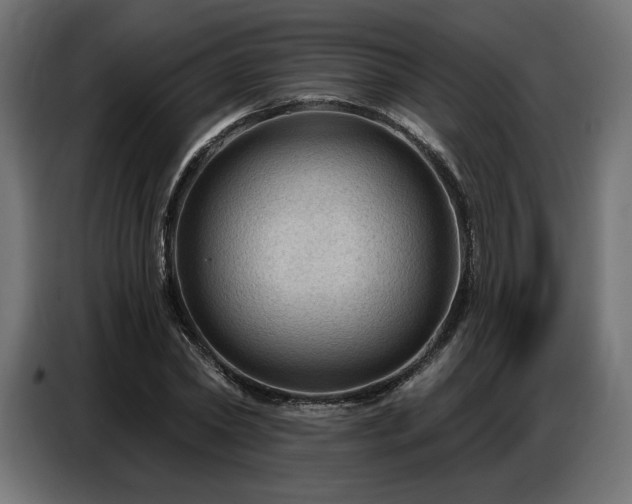 X0000086880782200704161220