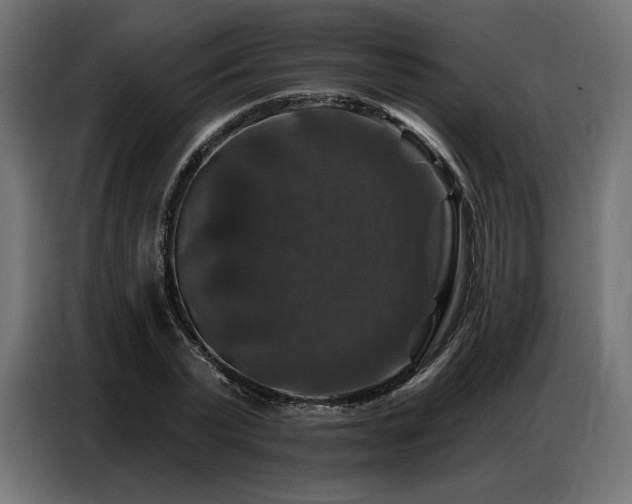 X0000086880783200704161220