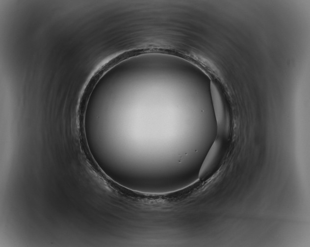 X0000086880784200704161220