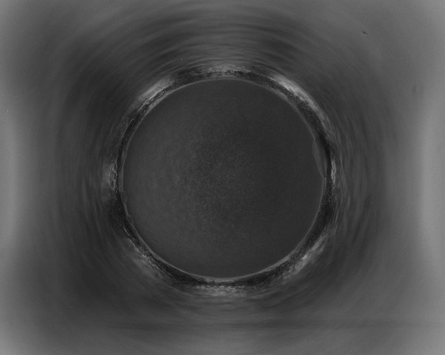 X0000086880785200704161220