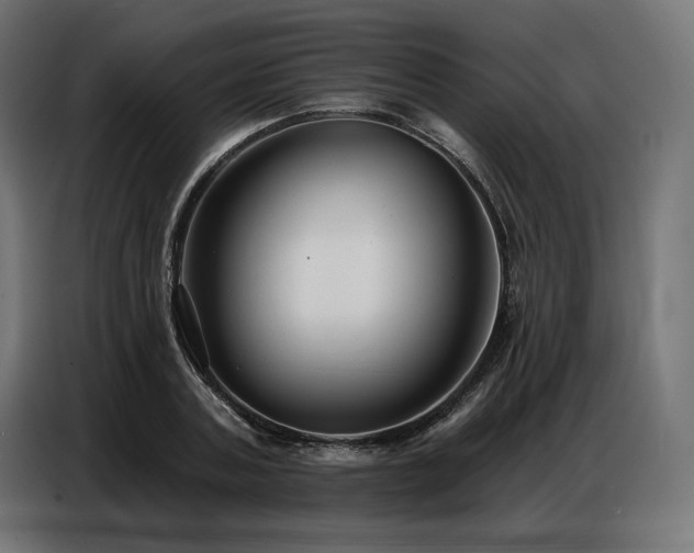 X0000086880787200704161220