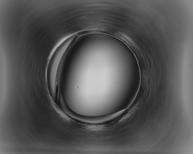 X0000086880788200704161220