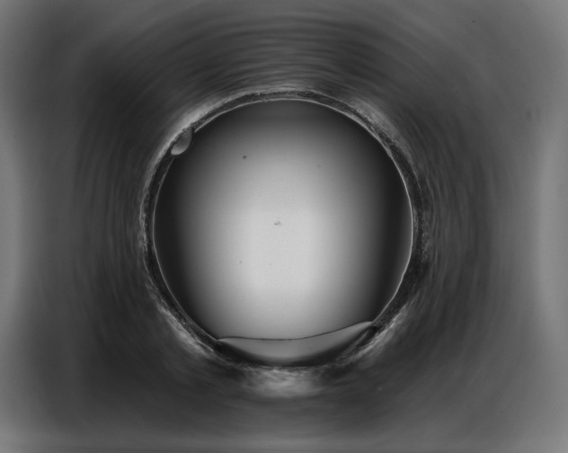 X0000086880789200704161220