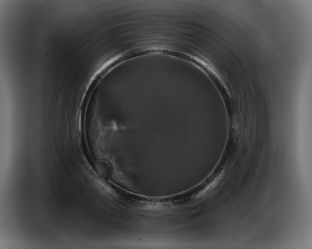 X0000086880790200704161220