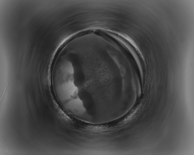 X0000086880791200704161220