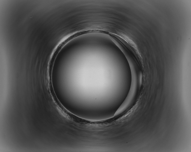 X0000086880792200704161220