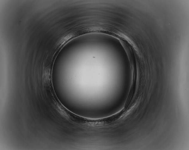 X0000086880793200704161220