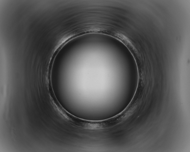 X0000086880794200704161220