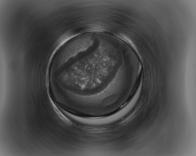 X0000086880795200704161220