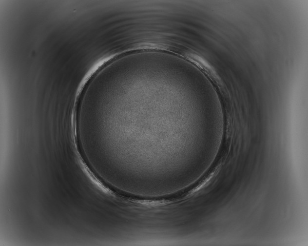 X0000086880796200704161220