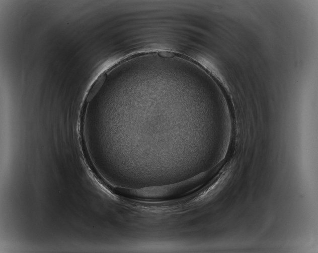 X0000086880797200704161220