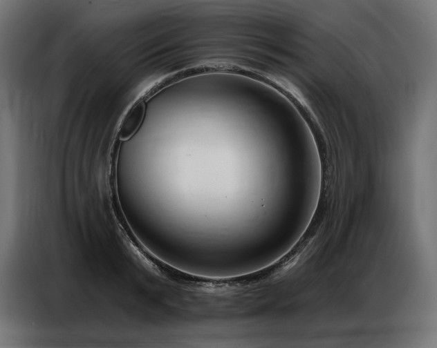 X0000086880799200704161220