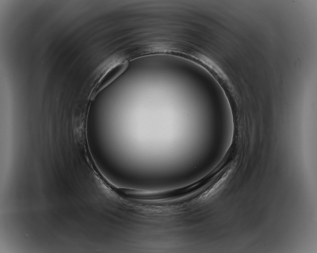 X0000086880801200704161219