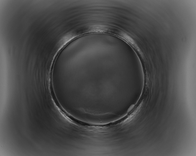 X0000086880802200704161219