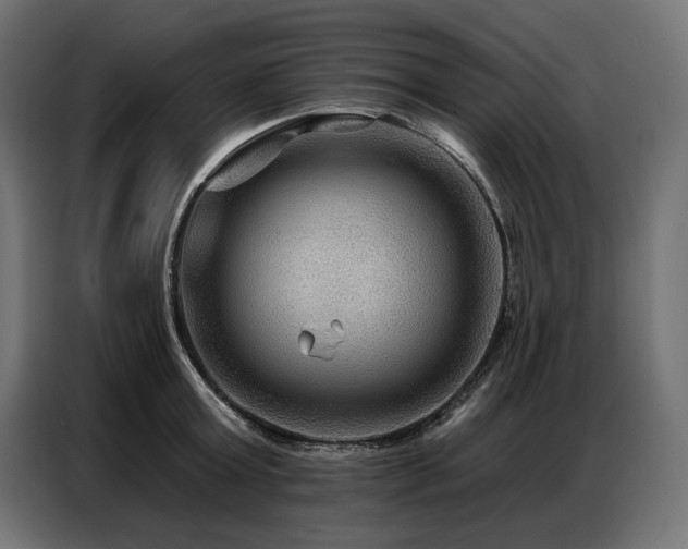 X0000086880803200704161219