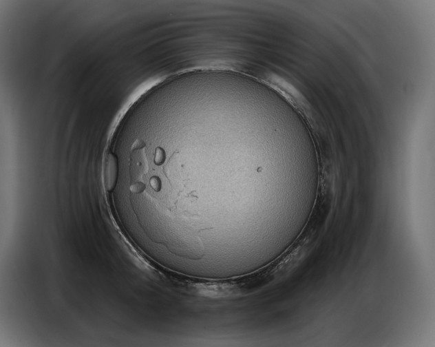 X0000086880804200704161219