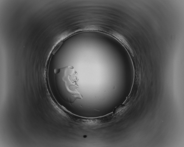 X0000086880805200704161219