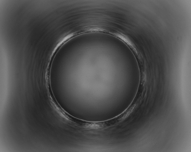 X0000086880806200704161219