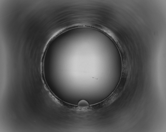 X0000086880807200704161219