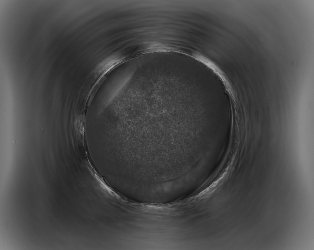 X0000086880809200704161219