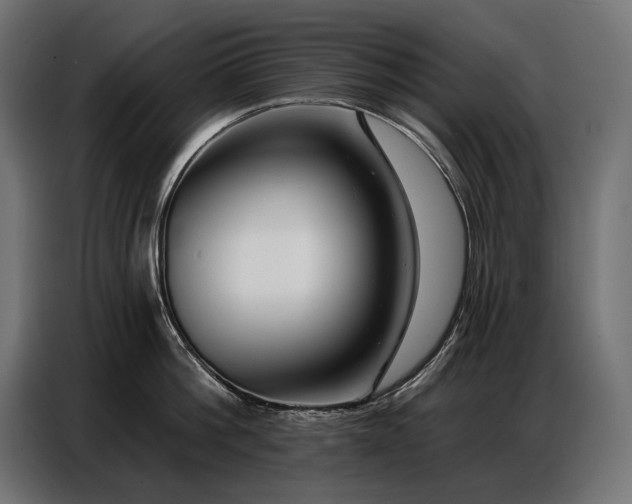 X0000086880812200704161219